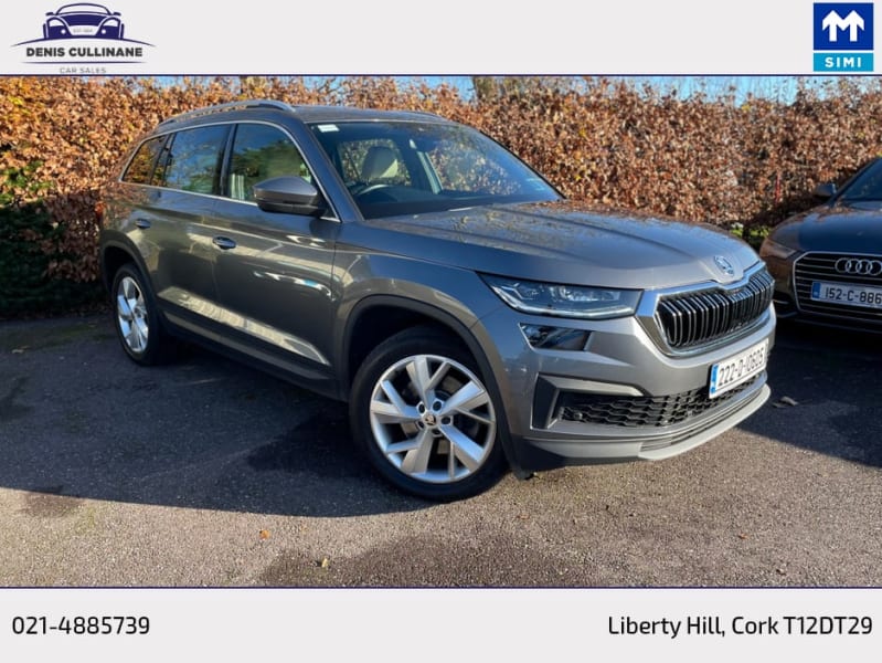 2022 Skoda Kodiaq - Image 1